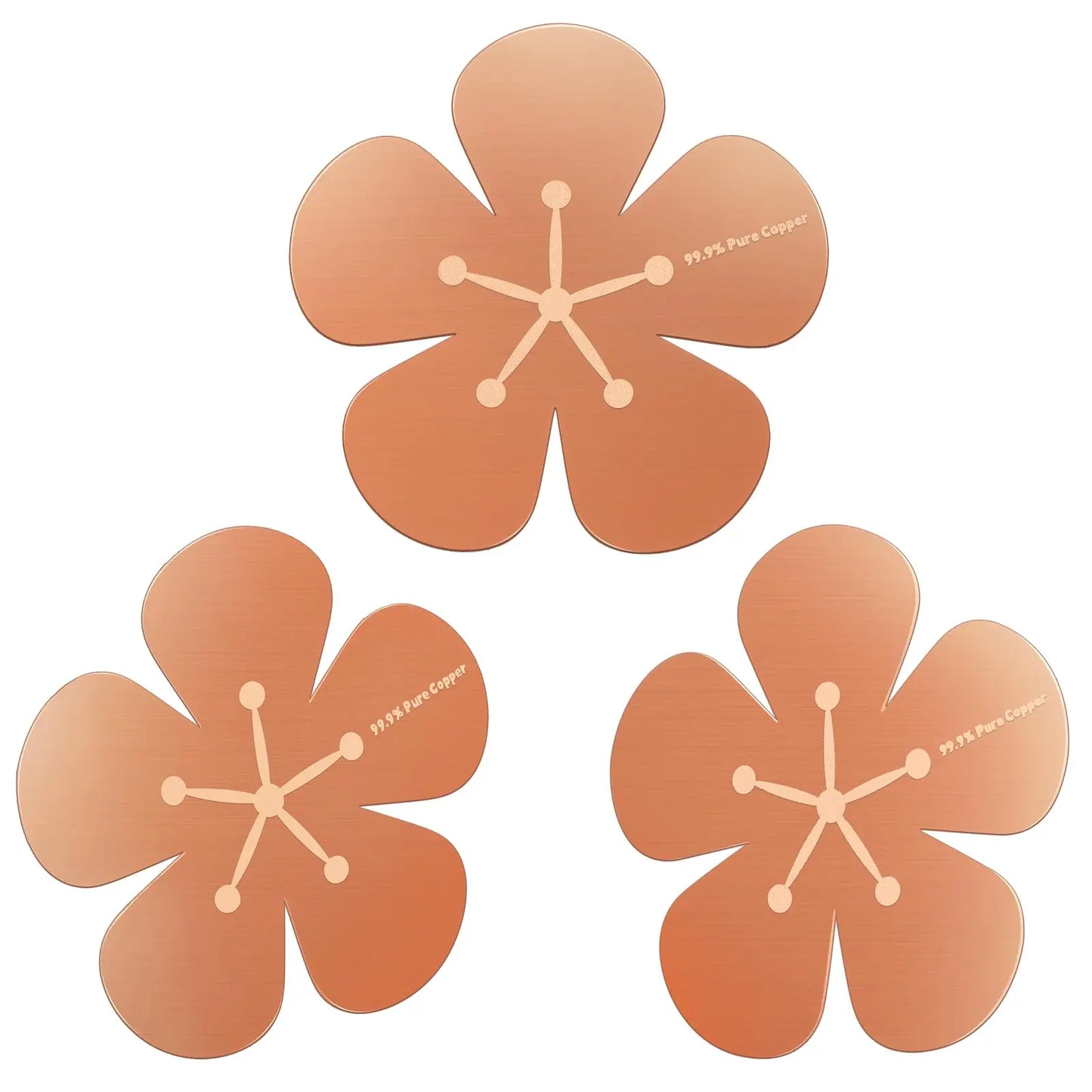 3PCS 99.99% Pure Copper Bird Bath Purification Discs