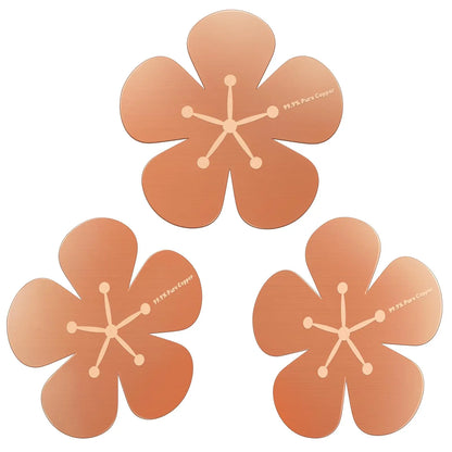 3PCS 99.99% Pure Copper Bird Bath Purification Discs
