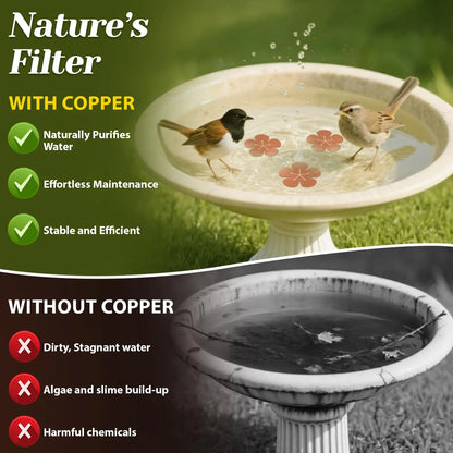 3PCS 99.99% Pure Copper Bird Bath Purification Discs