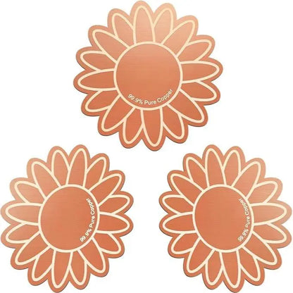 3PCS 99.99% Pure Copper Bird Bath Purification Discs