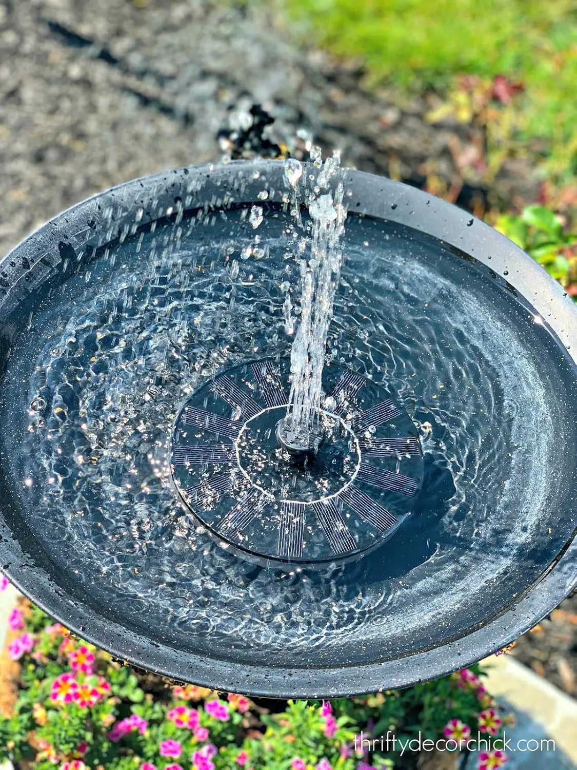Turn Any Bird Bath Into a Relaxing Solar Fountain