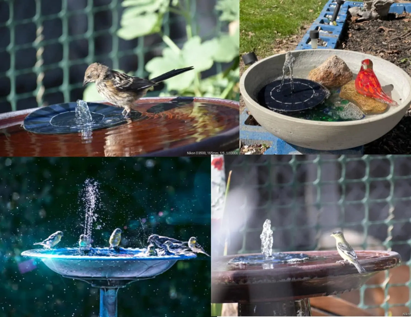 Turn Any Bird Bath Into a Relaxing Solar Fountain